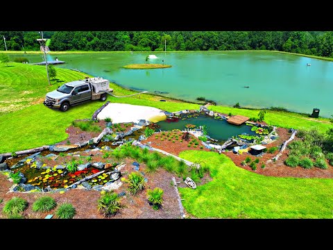 Adding 3,000 Fish to the 5 Acre Pond! img